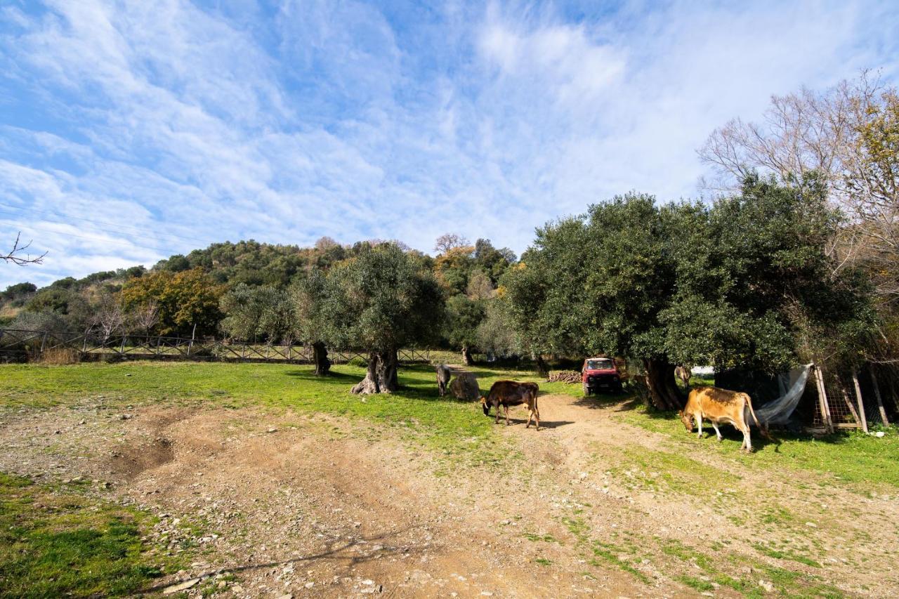 Agriturismo San Basilio Salento Exterior foto